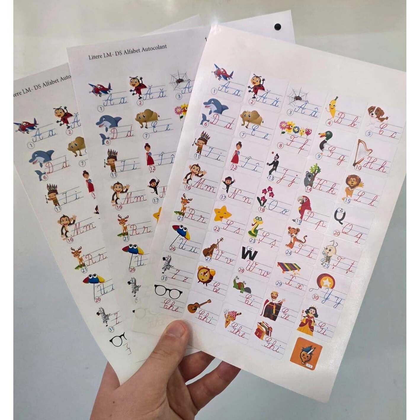 Stiker Litere de mână mari Mici  LM- DS Alfabet Autocolant
