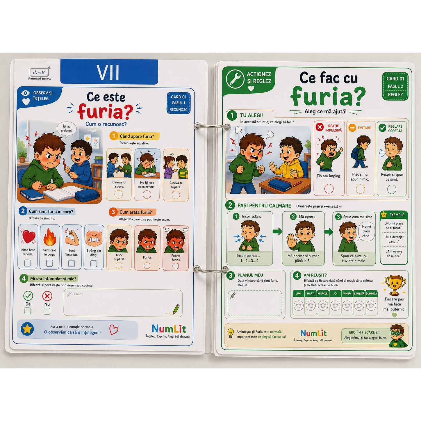 Cartea cu Emotii - Card Profesor