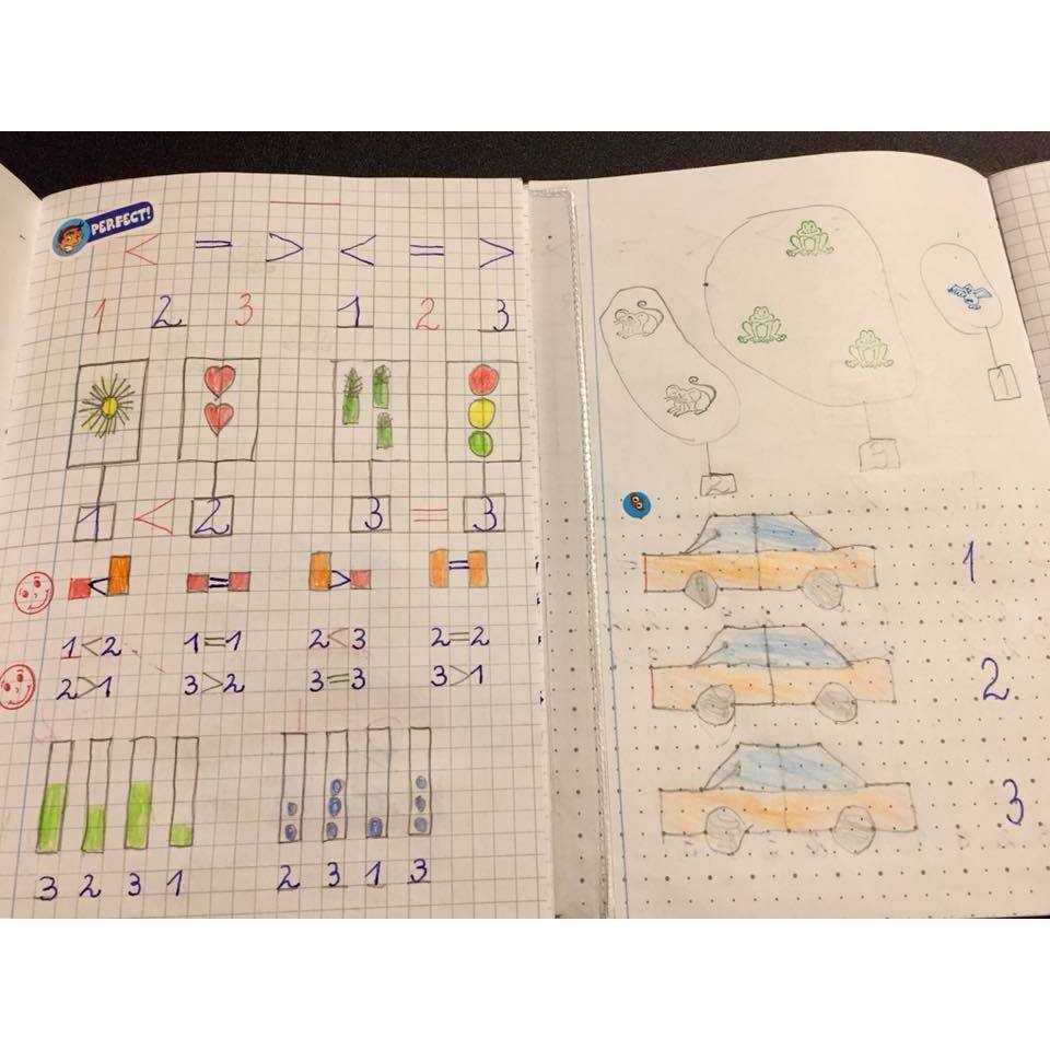 CAIET Special Matematică