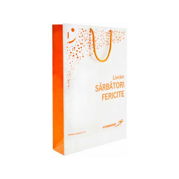 Punga de cadouri Vertical